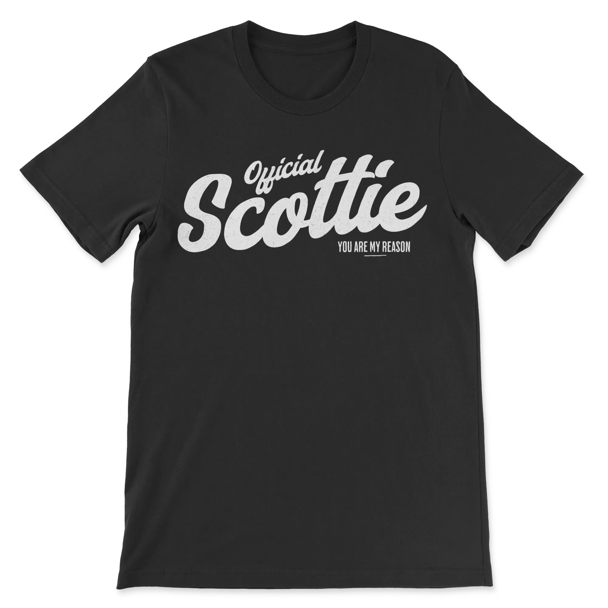 Offizieller Scottie  Hauptbild